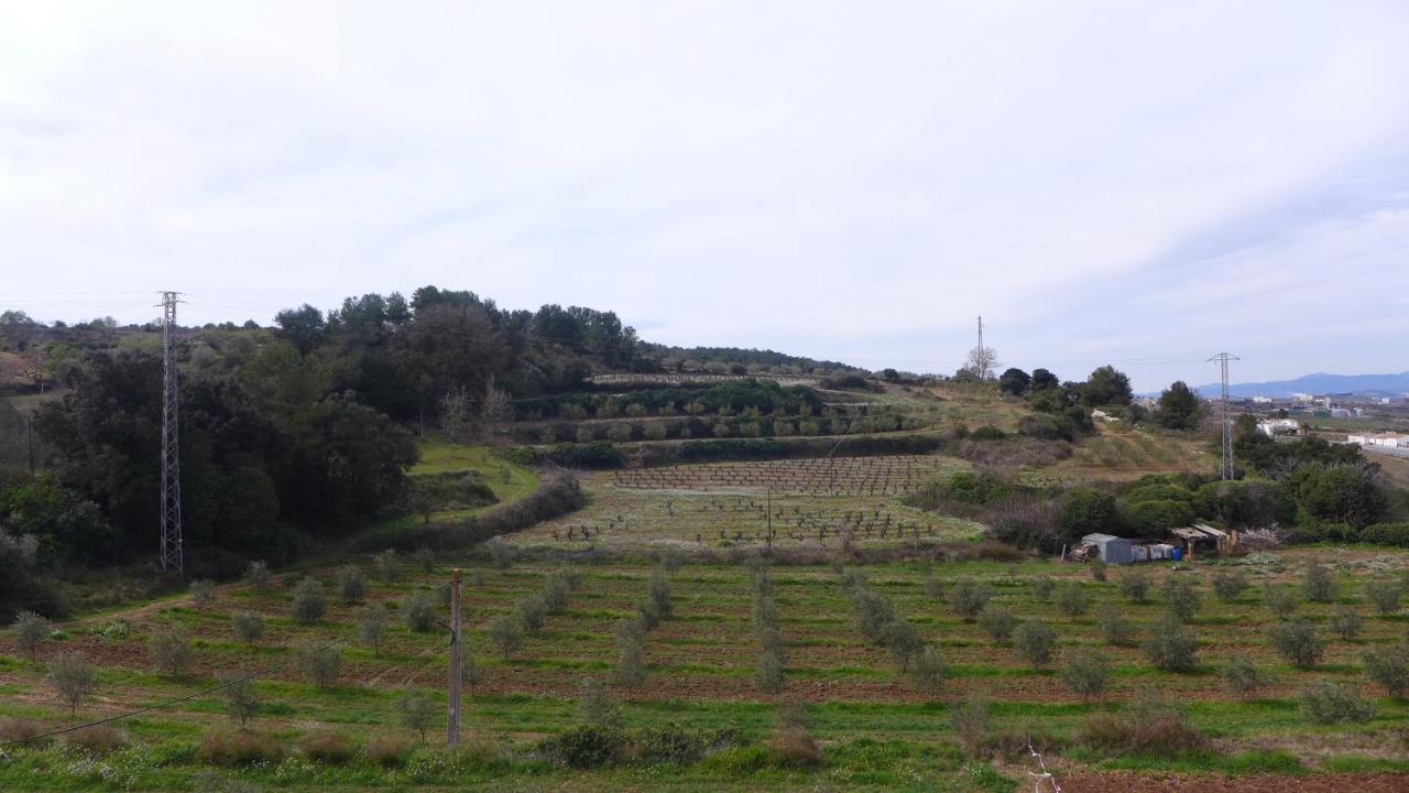 Agroturisme Cal Jeroni Avinyonet del Penedes Экстерьер фото