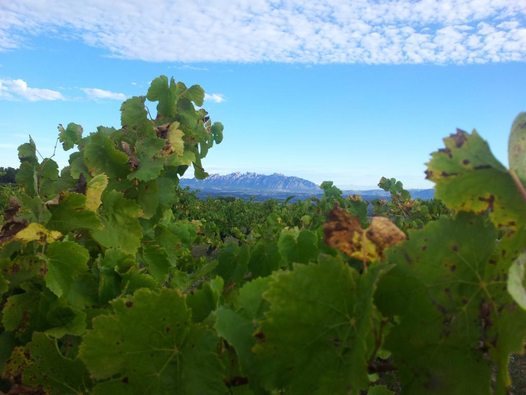 Agroturisme Cal Jeroni Avinyonet del Penedes Экстерьер фото