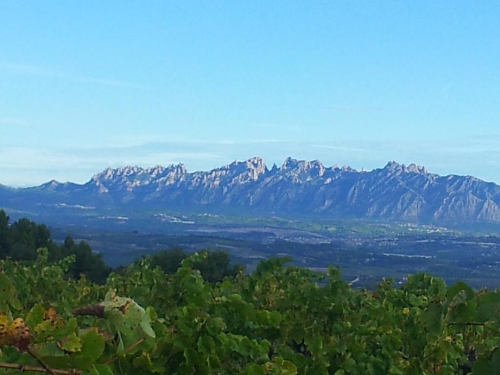Agroturisme Cal Jeroni Avinyonet del Penedes Экстерьер фото